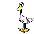 duckg.gif